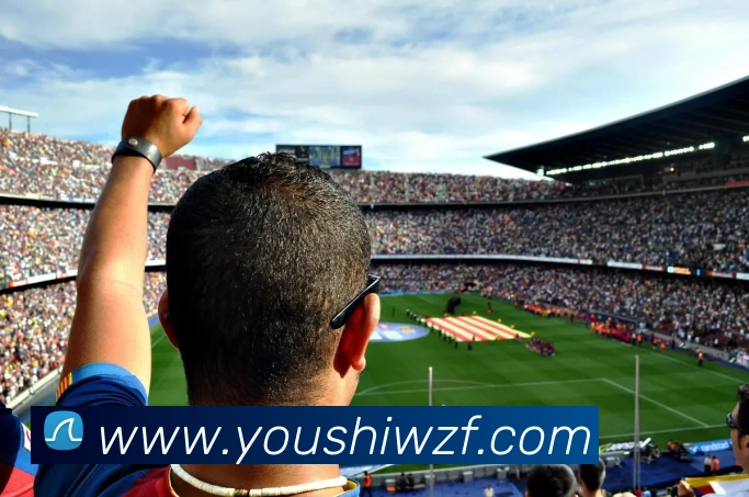 开云平台生态图